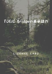 TOEIC Bridgeの英単語力