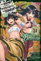 Is It Wrong to Try to Pick Up Girls in a Dungeon? On the Side: Sword Oratoria, Vol. 14