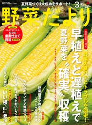 男子の朝ラク元気弁当 - 実用 ブティック社編集部：電子書籍試し読み