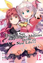 Didn't I Say To Make My Abilities Average In The Next Life?! Vol. 12