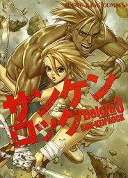 サンケンロック（３） - マンガ（漫画） Boichi（ヤングキング）：電子