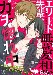 最新刊 エリート先輩 無愛想ちゃんにガチ惚れ中 そのトロ顔見たらいじめたくなるだろ 3 マンガ 漫画 毒一 黒ひめコミック 電子書籍試し読み無料 Book Walker