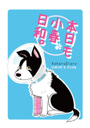 本日も小春日和。