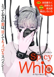 Spicy Whip vol.１７