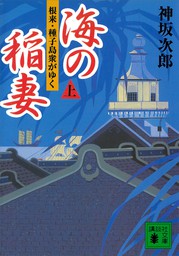 海の稲妻（上）　根来・種子島衆がゆく