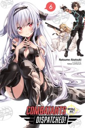 Combatants Will Be Dispatched!, Vol. 6 (light novel)