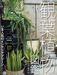 観葉植物図鑑 実用 渡辺均 電子書籍試し読み無料 Book Walker