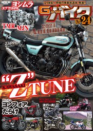 G-ワークス バイク Vol.24