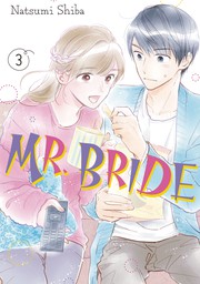 Mr. Bride 3