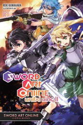 Sword Art Online 23