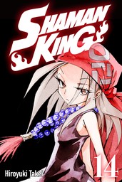 SHAMAN KING 14