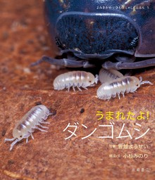 最新刊 うまれたよ ダンゴムシ 文芸 小説 皆越ようせい 小杉みのり 電子書籍試し読み無料 Book Walker