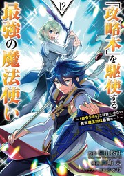 「攻略本」を駆使する最強の魔法使い ～＜命令させろ＞とは言わせない俺流魔王討伐最善ルート～ 12巻