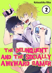 The Delinquent and the Socially Awkward Gamer 2