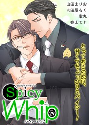 Spicy Whip vol.２９