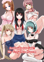 Android For Sale! My Very Own Harem, Volume 1