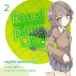 [AUDIOBOOK] Rascal Does Not Dream of Petite Devil Kohai (light novel)