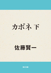 王妃の離婚 文芸 小説 佐藤賢一 集英社文庫 電子書籍試し読み無料 Book Walker