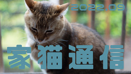家猫通信 2022.09
