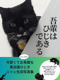 吾輩はひじきである：ひじきと紡ぐ幸せな毎日