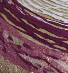 ひかるのきみ　捌