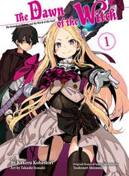 The Dawn of the Witch 1 (light novel)