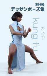 チャイナ服版　カンフーをする女性のアクションポーズ集