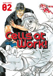 Cells at Work! (Hataraku Saibou) LADY 4 – Japanese Book Store
