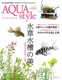 AQUA style 6号