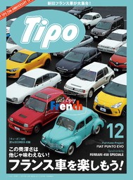 Tipo 306号