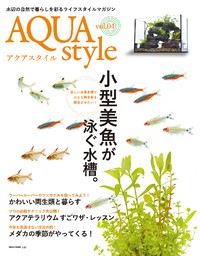 AQUA style 4号