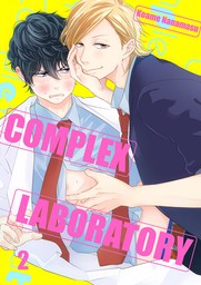 Complex Laboratory 2