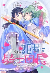 オンラインストア取寄 ミニさん様お取置き 姫君は騎士団長 4 含む28冊