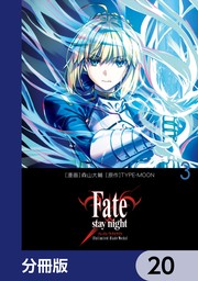 Fate/stay night［Unlimited Blade Works］【分冊版】　20