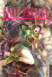 Final Fantasy Lost Stranger, Vol. 9