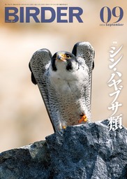 BIRDER2022年4月号 - 実用 BIRDER編集部：電子書籍試し読み無料 - BOOK