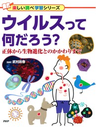 たんぱく質入門 どう作られ、どうはたらくのか - 実用 武村政春