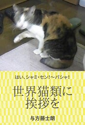 世界猫類に挨拶を