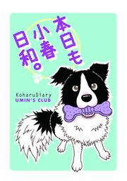 本日も小春日和。