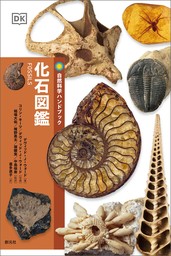 自然科学ハンドブック　化石図鑑