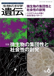 生物の科学 遺伝 2023年11月発行号 Vol.77 No.6