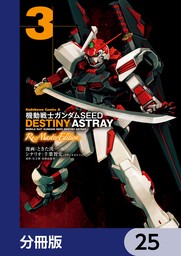 機動戦士ガンダムSEED DESTINY ASTRAY Re: Master Edition【分冊版】　25