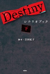 Destiny　シナリオブック〈下〉