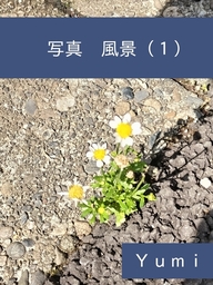 写真　風景（１）