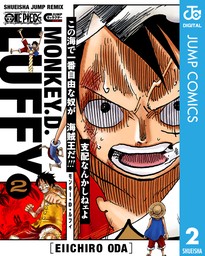 ONE PIECE モンキー・D・ルフィ 2