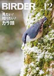 BIRDER2024年12月号