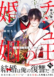 チシュ王の婚姻～花嫁に交わる王の糸～ 第四話 - マンガ（漫画）、BL（ボーイズラブ） 藤咲もえ/アスティル編集部（COMICアスティル）：電子書籍試し読み無料  - BOOK☆WALKER -