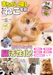 まちがい探し かわいいねこ写真