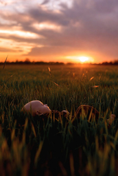 Agriculture 2 ~ with life