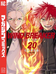 ＷＩＮＤ　ＢＲＥＡＫＥＲ（２０）